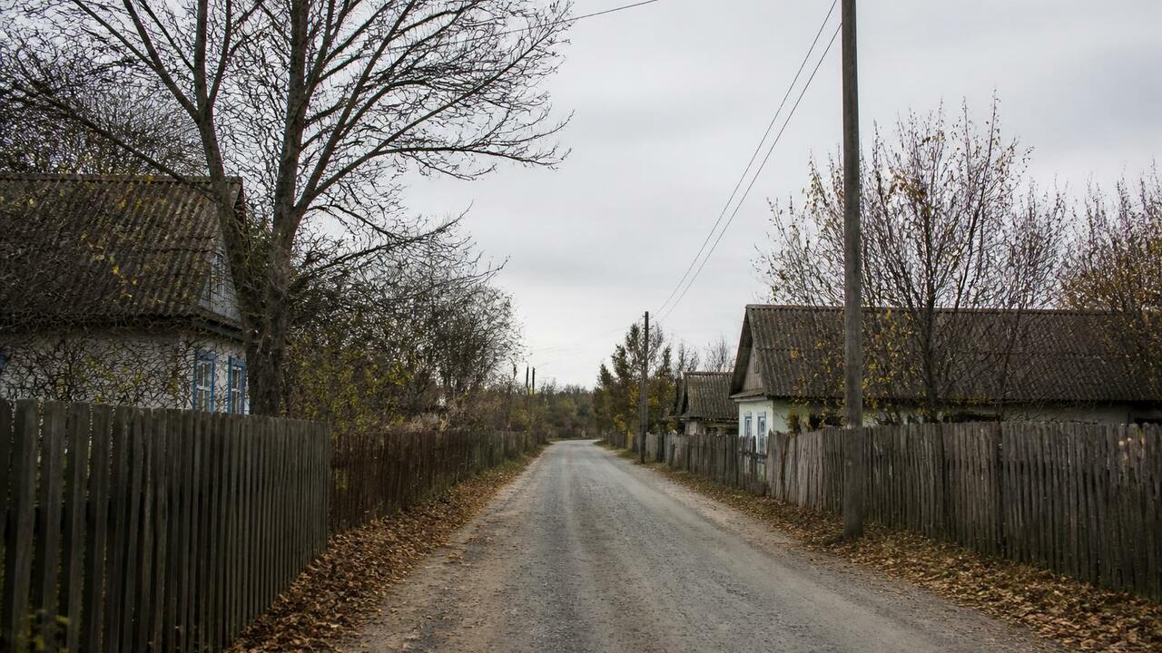 В Воронежской области введен карантин по бешенс...