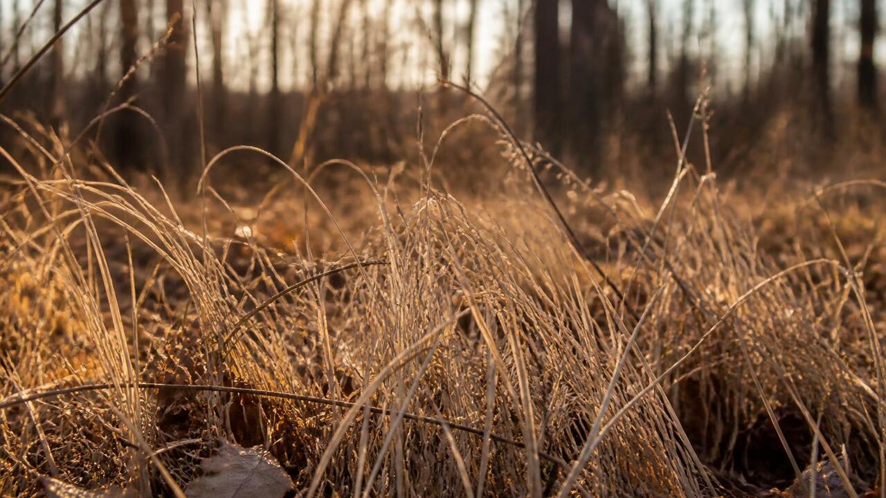 Четыре муниципалитета Воронежской области вошли...