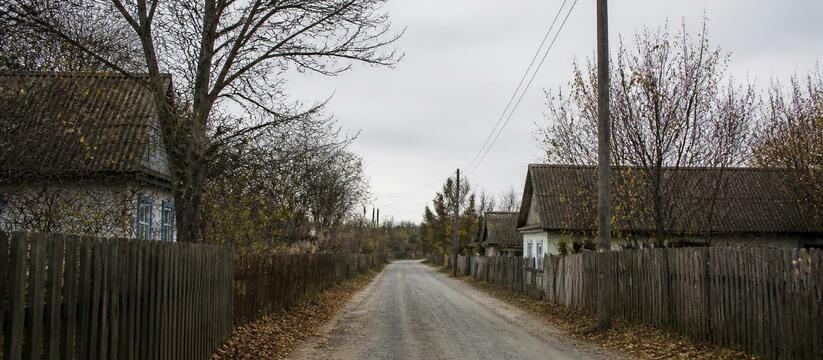В Воронежской области введен карантин по бешенс...