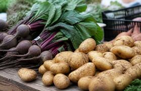 В Воронеже подешевели картофель, свекла и курица