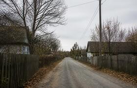 Карантин по бешенству ввели в селе Бутырки Воро...